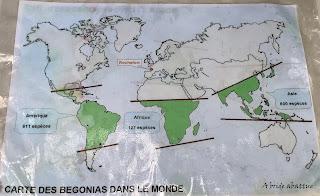 Le Conservatoire national du Bégonia de Rochefort