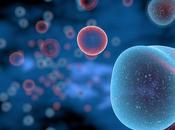 CANCER rôle critique granules stress