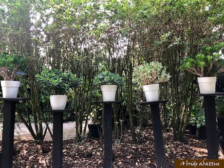 Les jardins de la Boirie à Saint-Pierre-d'Oléron