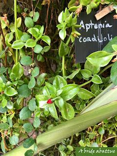 Les jardins de la Boirie à Saint-Pierre-d'Oléron