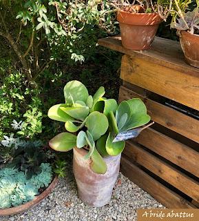 Les jardins de la Boirie à Saint-Pierre-d'Oléron