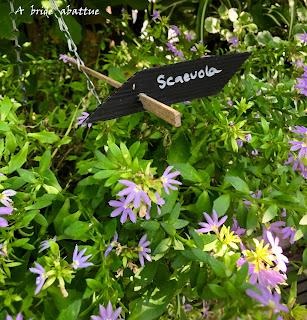 Les jardins de la Boirie à Saint-Pierre-d'Oléron
