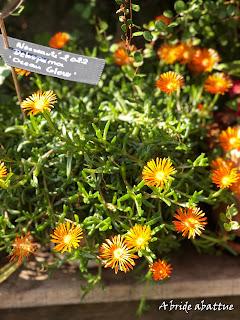 Les jardins de la Boirie à Saint-Pierre-d'Oléron