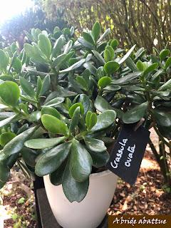 Les jardins de la Boirie à Saint-Pierre-d'Oléron