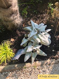 Les jardins de la Boirie à Saint-Pierre-d'Oléron