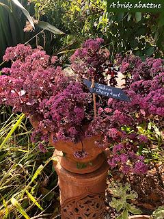 Les jardins de la Boirie à Saint-Pierre-d'Oléron