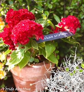 Les jardins de la Boirie à Saint-Pierre-d'Oléron