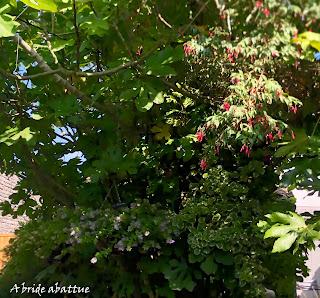 Les jardins de la Boirie à Saint-Pierre-d'Oléron