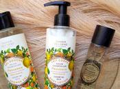 voyage Provence avec Panier Sens