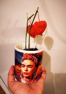 L'amour en cage (Physalis)