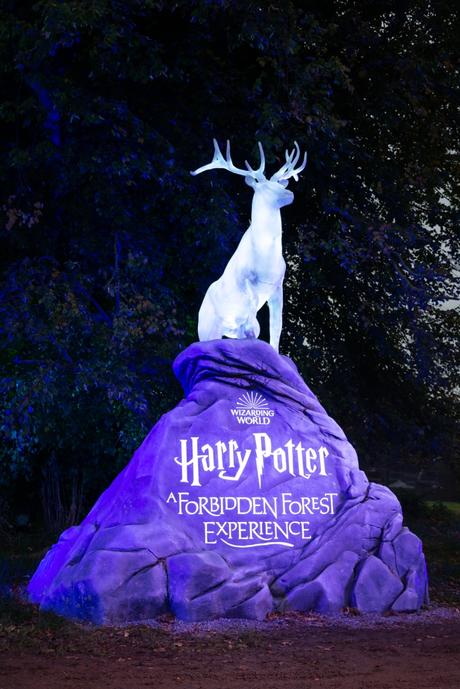 « Harry Potter : L’Expérience en Forêt Interdite » ouvrira ses portes le 5 novembre 2022 au Château et domaine de Groenenberg à Sint-Pieters-Leeuw