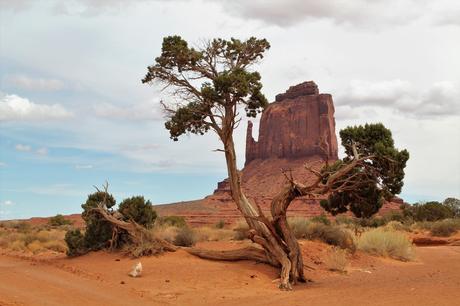 Monument Valley, au rythme des Navajos