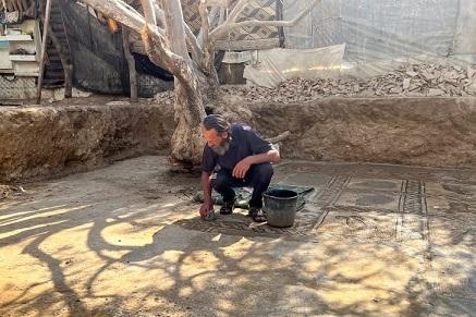 Un agriculteur découvre une superbe mosaïque de l'époque byzantine dans un verger de Gaza