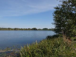 Mantova, le polar italien et le sang du christ