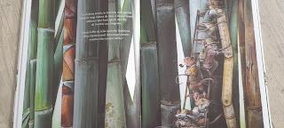 La fougère et le bambou de Mari Tibi illustré par Jérémy Pailler