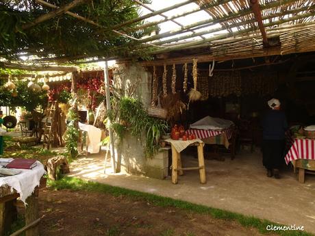 Atelier de cuisine à Zungri en Calabre