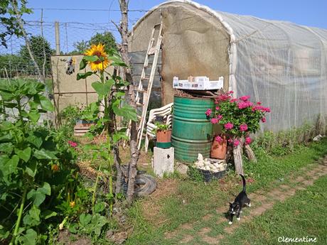 Atelier de cuisine à Zungri en Calabre