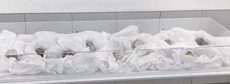 Fondation – Institut GIACOMETTI – Sophie Ristelhueler.Legacy – du 27/09 au 30 /11/2022.