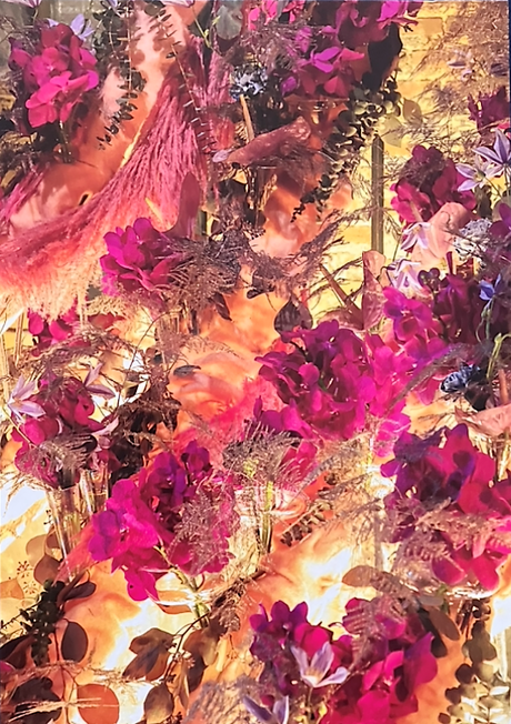 Domaine de-Chaumont-sur-Loire : « Quand fleurir est un art »  7/11 Octobre 2022.