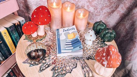 [Lecture] Les Indécis : une lecture très originale !