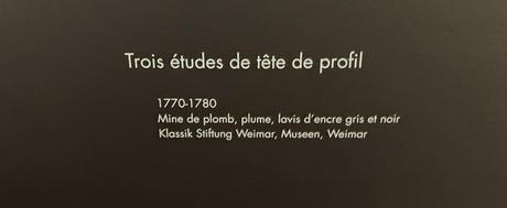 Musée Jacquemart-André – exposition  » FUSSLI  » Entre rêve et fantastique – jusqu’au 23 Janvier 2023.