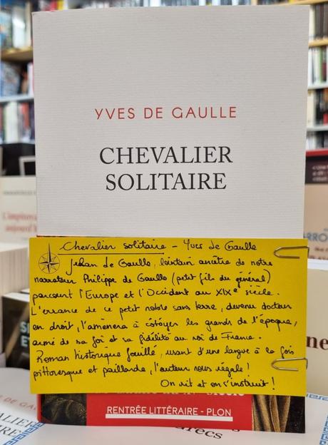 Chevalier solitaire