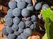 Visite Maison Chassenay d'Arce