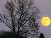 Octobre. (Luc Bérimont)