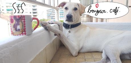 Bonne fĂȘte Arielle đ Bonne fĂȘte Arielle đ