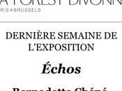 Galerie Forest Divonne exposition échos