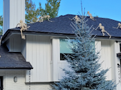 Squelettes grimpeurs