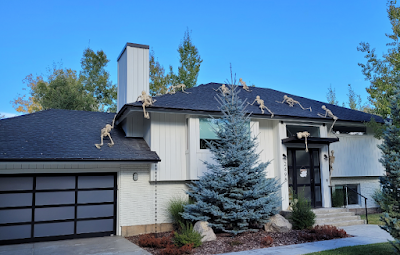 Squelettes grimpeurs ?