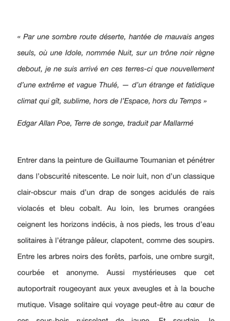 Galerie Lazarew  exposition : Guillaume Toumanian  » ce qui reste  » à partir du 13 Octobre 2022.