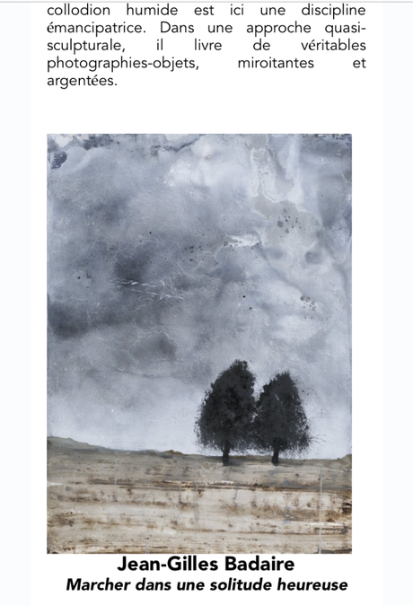 Galerie Capazza – de nouvelles expositions : à partir du 8 Octobre 2022.