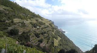 Le retour à Cinque-Terre - (étape «56»)