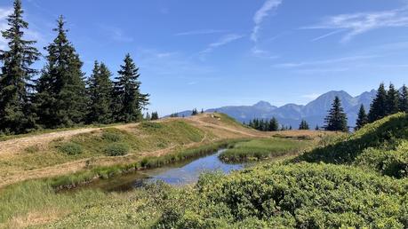 Profitons du début de l’automne pour feuilleter l’album de l’été [7]