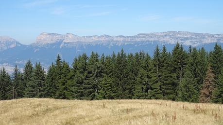 Profitons du début de l’automne pour feuilleter l’album de l’été [7]