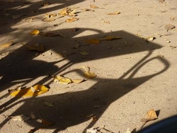 lisbonne,portugal,voyage,blog littéraire de christian cottet-emard,promenade,europe,occident,rossio,restauradores,quai des colonnes,chiado,sagres,super bock,christian cottet-emard,ginja,principe real,parc,cèdre,partagas club,librairie ambulante,estafette renault,tage,fleuve,aaron jenkins,campo de ourique,rua da escola politecnica,miraduro são pedro de alcântara,elevador da glória,praça dos restauradores,sao mamede,roman,éditions orage lagune express,littérature,fiction,parution,publication,édition,musique,piano,pianiste,orgue,oyonnax,nantua,lyon,barcelone,venise,france