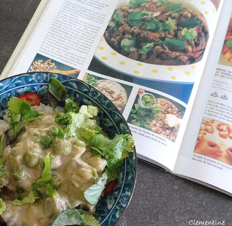 Curry de bœuf épicé