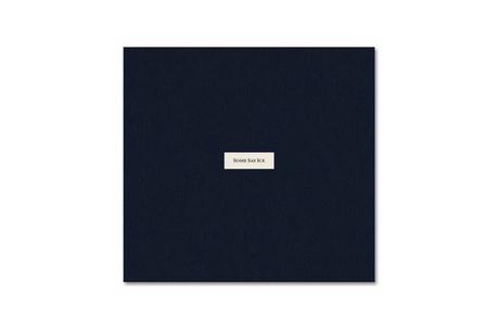 ALESSANDRA SANGUINETTI – SOME SAY ICE