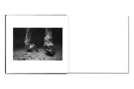 ALESSANDRA SANGUINETTI – SOME SAY ICE