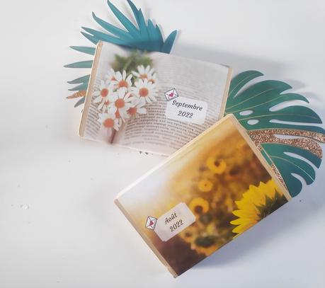 Mamizette, pour envoyer de jolies cartes à Papy et Mamie