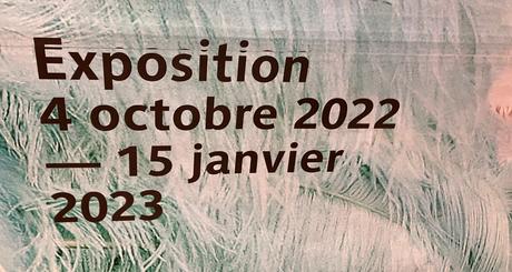 Musée du quai Branly – Jacques Chirac – depuis le 4 Octobre 2022. « Black Indians «