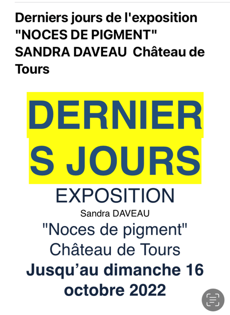 Château de Tours DERNIERS JOURS : Noces de Pigment – jusqu’au 16 Octobre 2022.