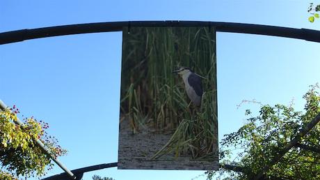 en remontant le fleuve