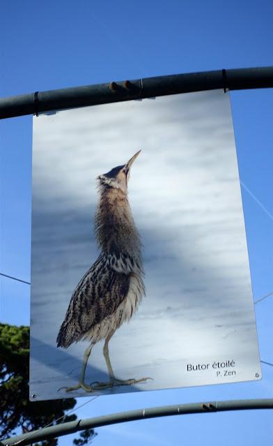 en remontant le fleuve