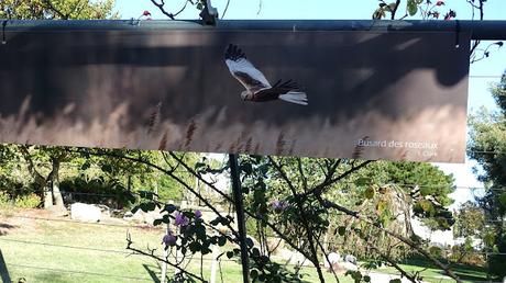 en remontant le fleuve