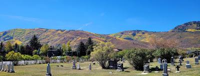 Festival de couleurs automnales …