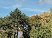 Retour sources... Béthune...