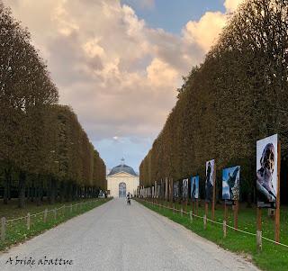 Festival de l’Orangerie de Sceaux et Exposition Faces à Faces